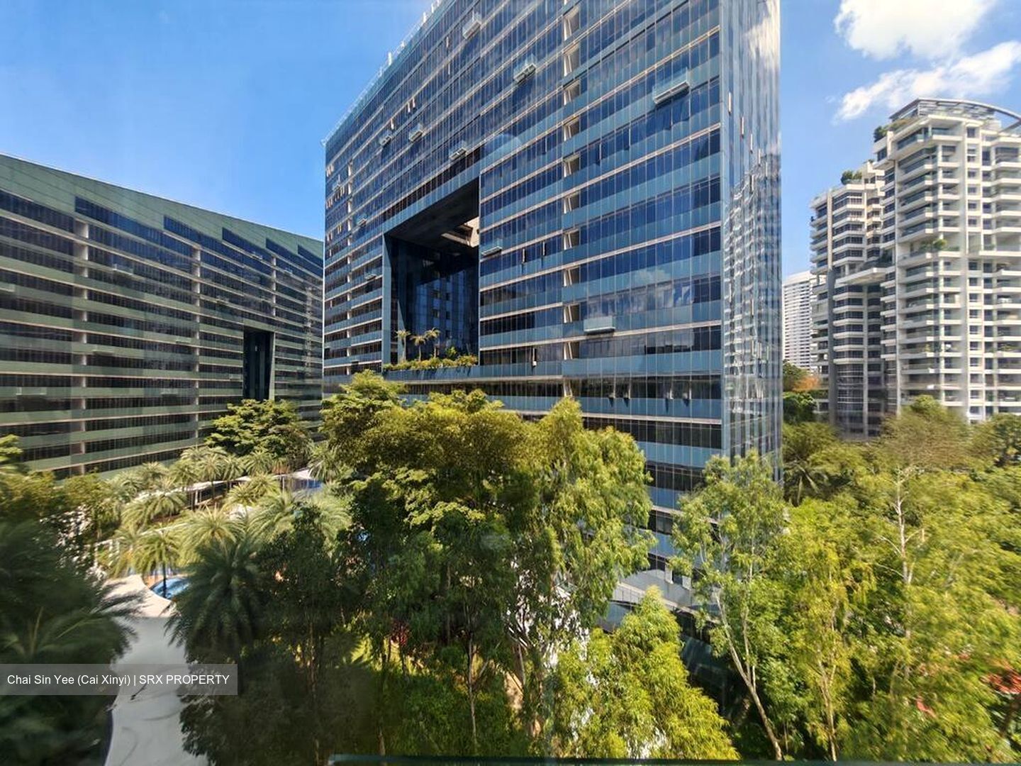 Orchard Scotts (D9), Condominium #484266811